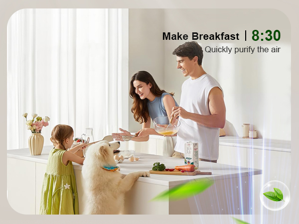 air purifiers for home