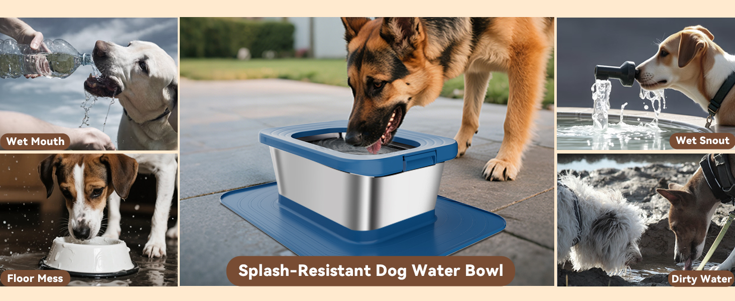 No Spill Dog Water Bowl