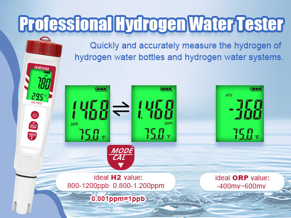 hydrogen tester ppb