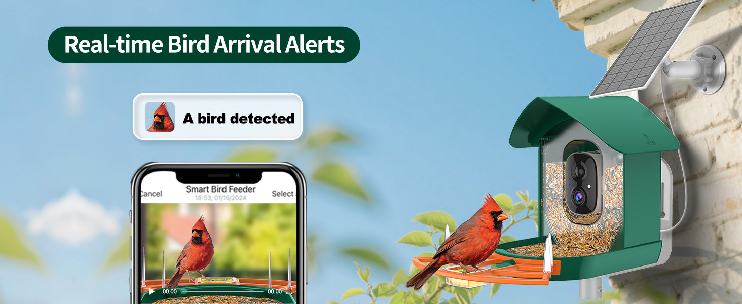 bird feeder with camera orange