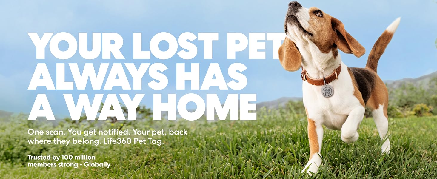 Your Lost Pet Always Has a Way Home.