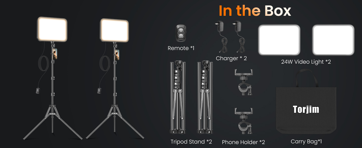 ring light with stand