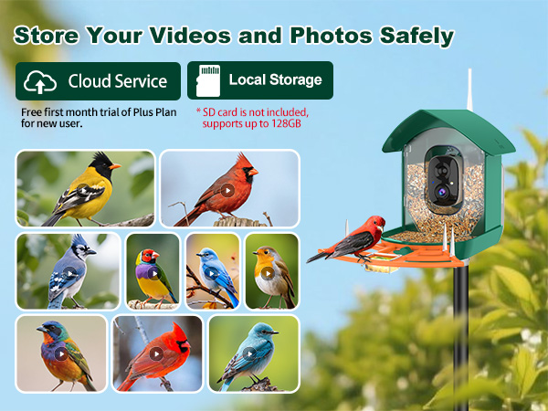 bird feeder with camera orange