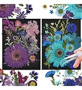 CONVELIFE Dried Flowers, 40Pcs Natural Pressed Dried Flowers and Leaves, Pressed Flowers with Twe...