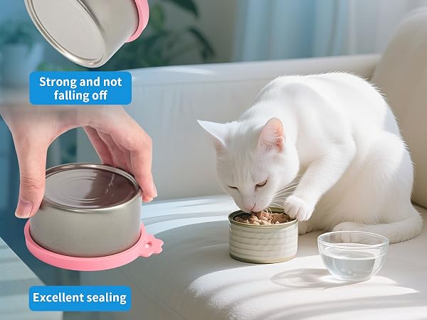 cat lids
