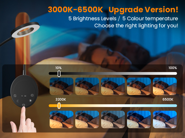 Wall Mounted Reading Light