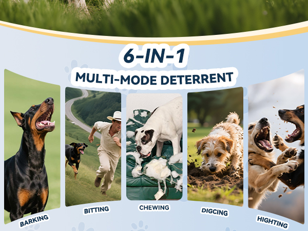 no barking device for dogs