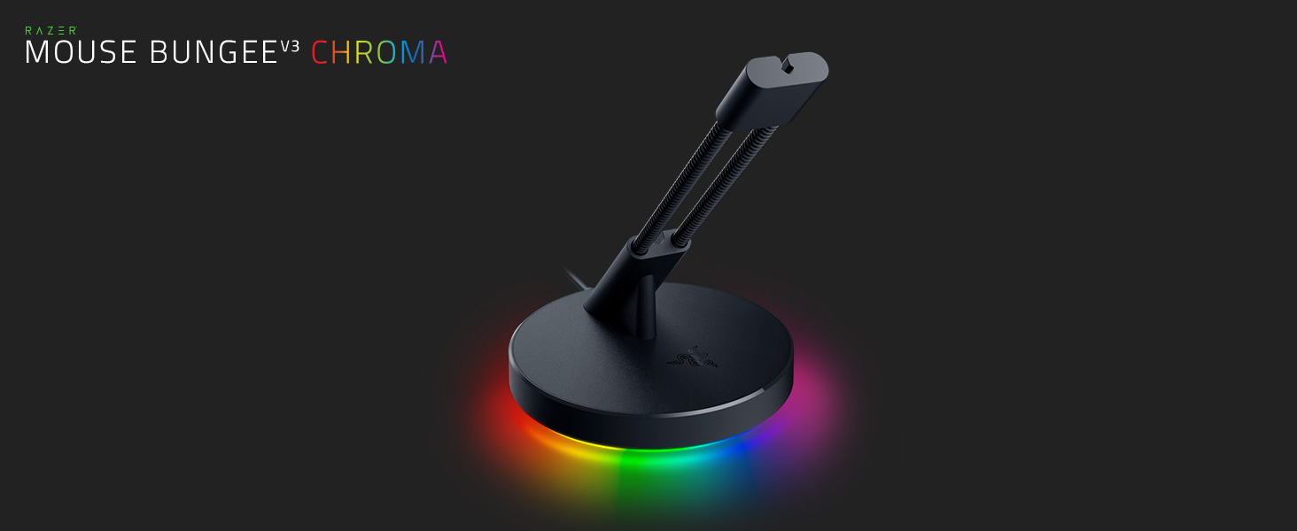 Bungee Chroma 1