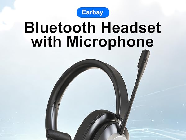 Bule Headset with Microphone