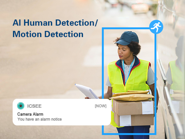 indoor outdoor camera wifi with AI huaman detection and motion detection
