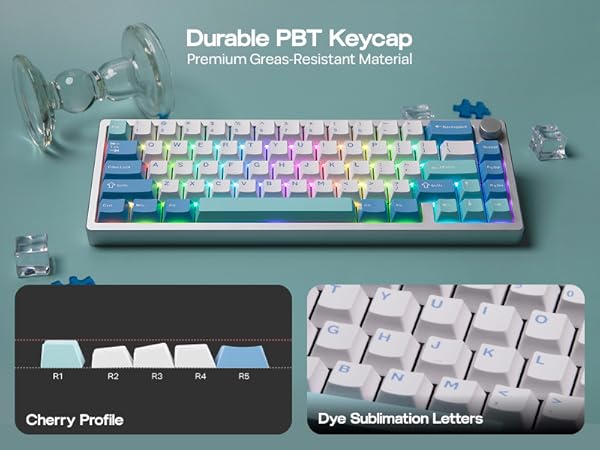 Compact mechanical keyboard with RGB backlit PBT keycaps, showing white dye sublimation letters and a Cherry profile layout. Multiple views display keycap details.