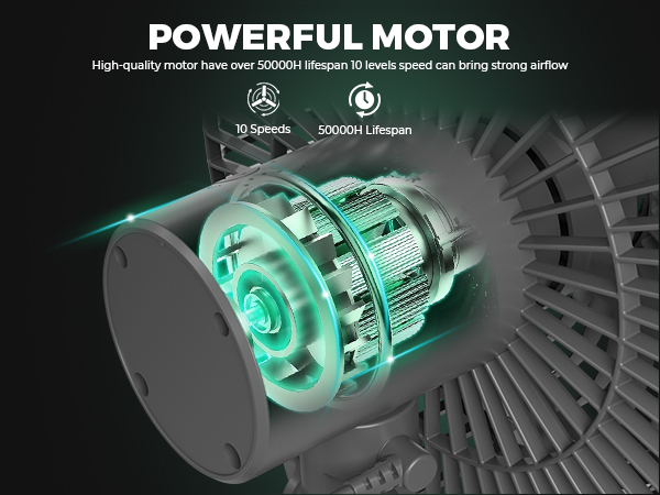 motor