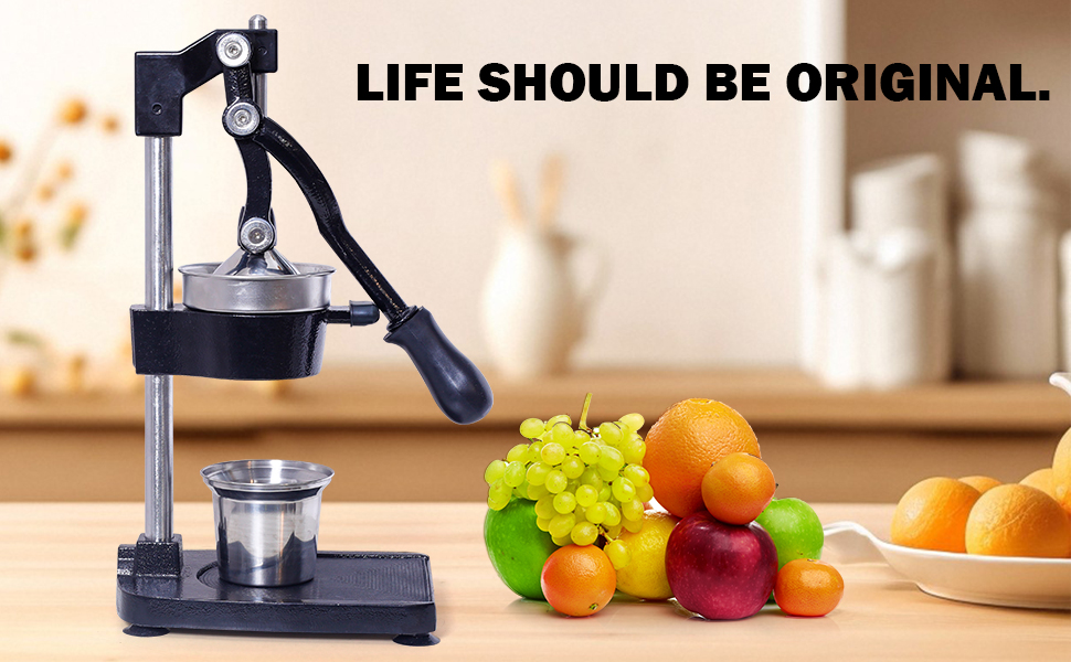 stainless steel juicer