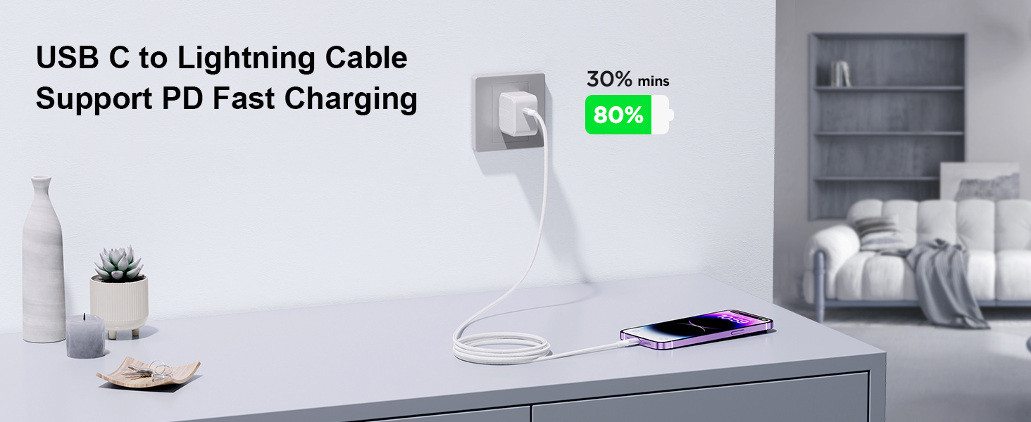 USB C to Lightning Cable