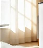 automatic cat feeder with camera