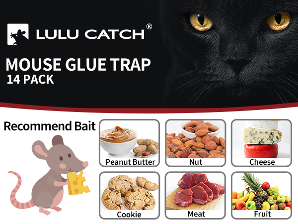 Super Heavier Mouse Traps