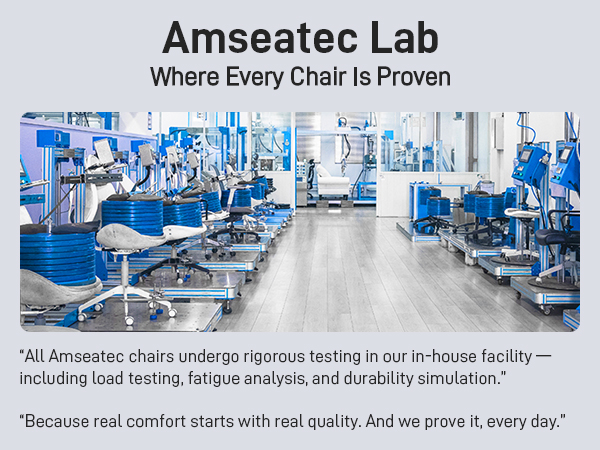 Amseatec Office Chair-Our Lab