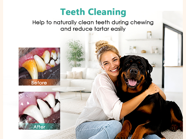 dog teething toy