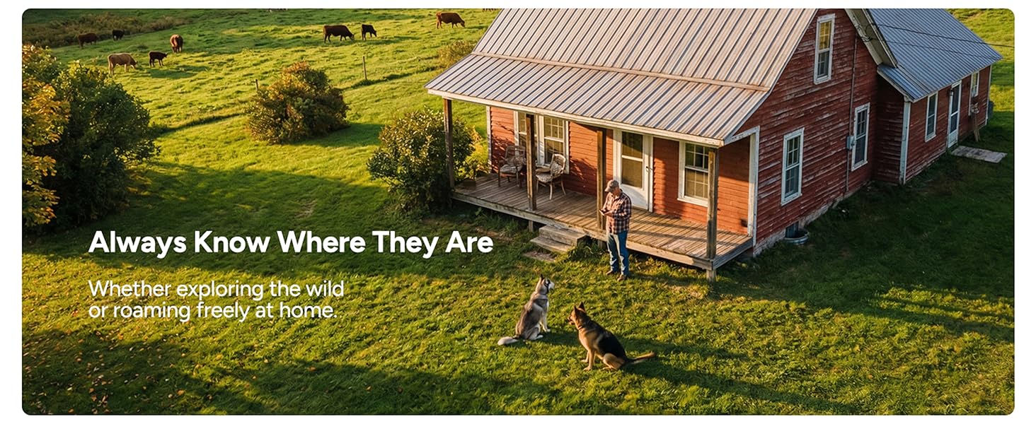 dog gps tracker