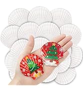 36PCS Natural Scallop Shells for Crafts, 2-3 Inch White Sea Shells for Decorating, Genuine Beach ...