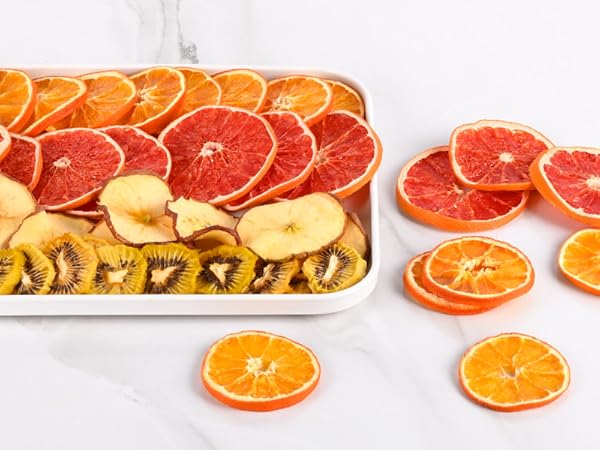 fruit dehydrator
