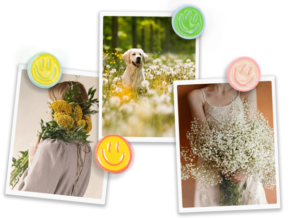 thumb tacks for wall