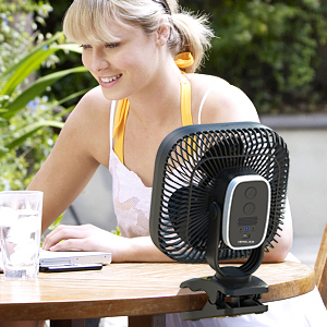 fan