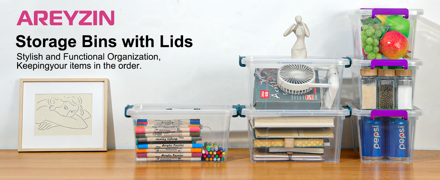 storage bins with lids