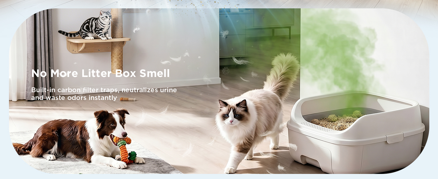 pet air purifiers for home air cleaners for home large air purifier airpurifier for home
