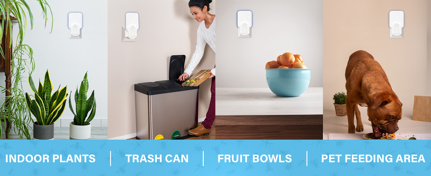 Fly Insect Trap Indoor with Night Light Plug in Bug Catcher, Pest Repeller Indoor 