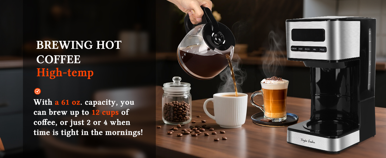 coffee maker coffee machine coffee pot drip iced hot cold brew programmable 12 cup