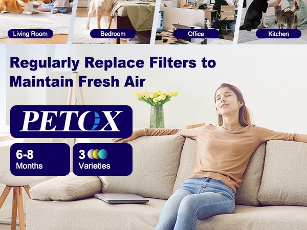 Puroair 240 replacement filter