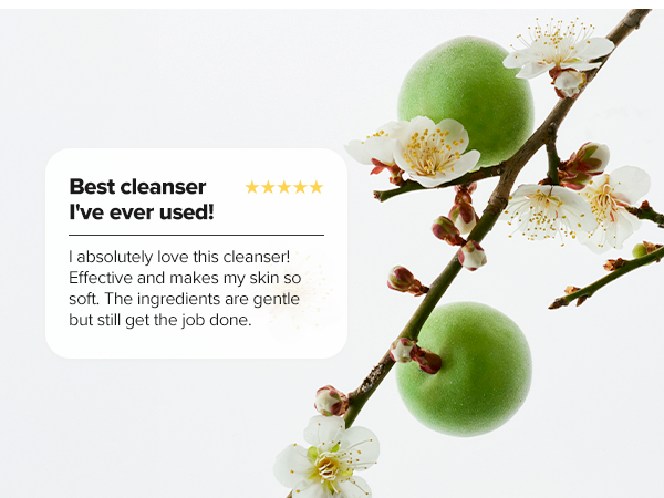 plum cleanser