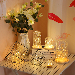 led battery powered fairy lights indoor bedroom string lights battery operated christmas lights