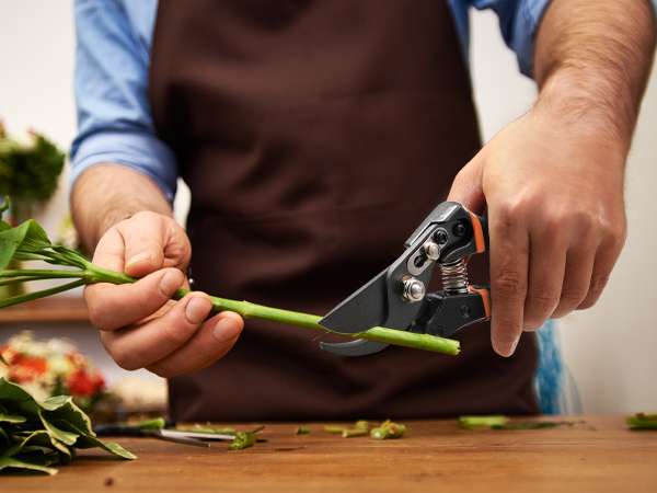 pruning shears