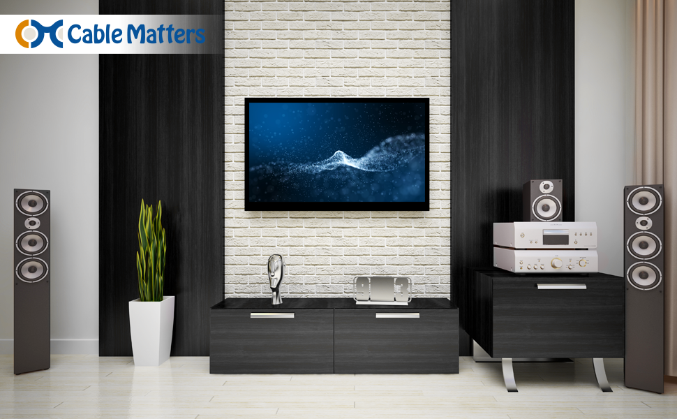  Cable Matters Digital Coaxial Audio Cable 