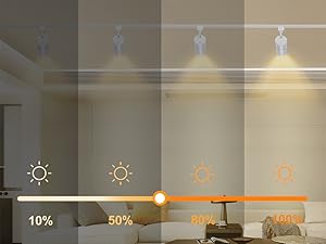 VANoopee Track Lighting Heads 20W