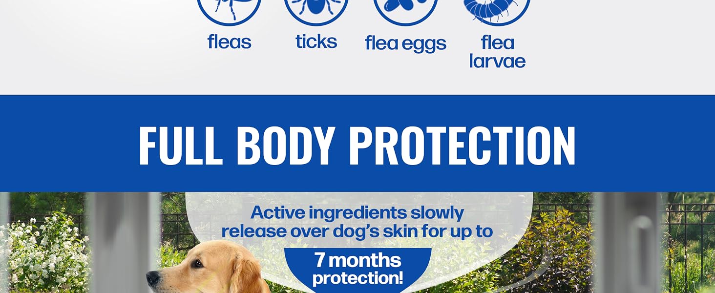 Full Body Protection