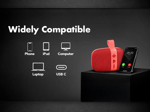 Mini portable speaker