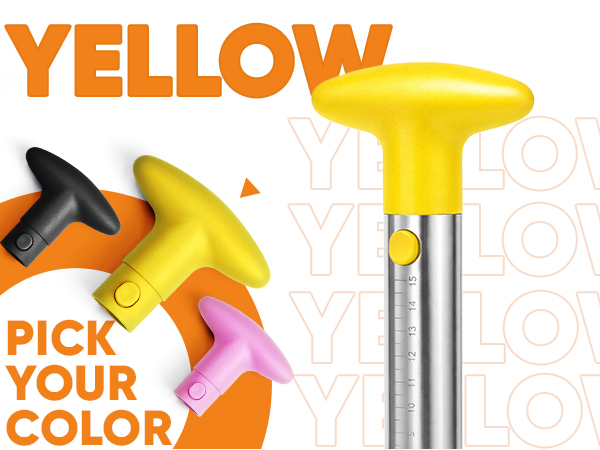 pineapple corer