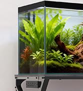 50 Gallon Aquarium Stand