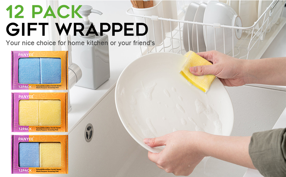Dish Sponges