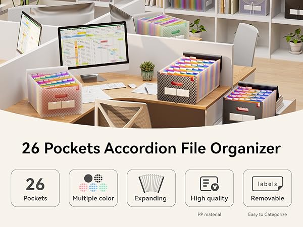 Accordion File Organizer