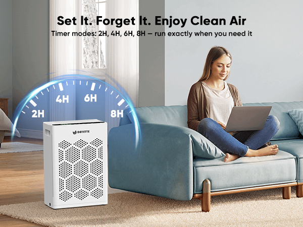 air purifier with timer