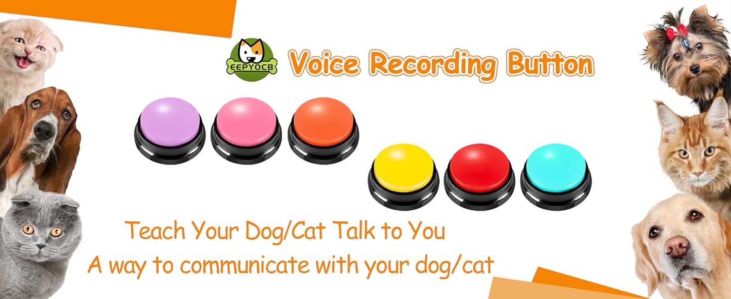 teach and talk to your pet