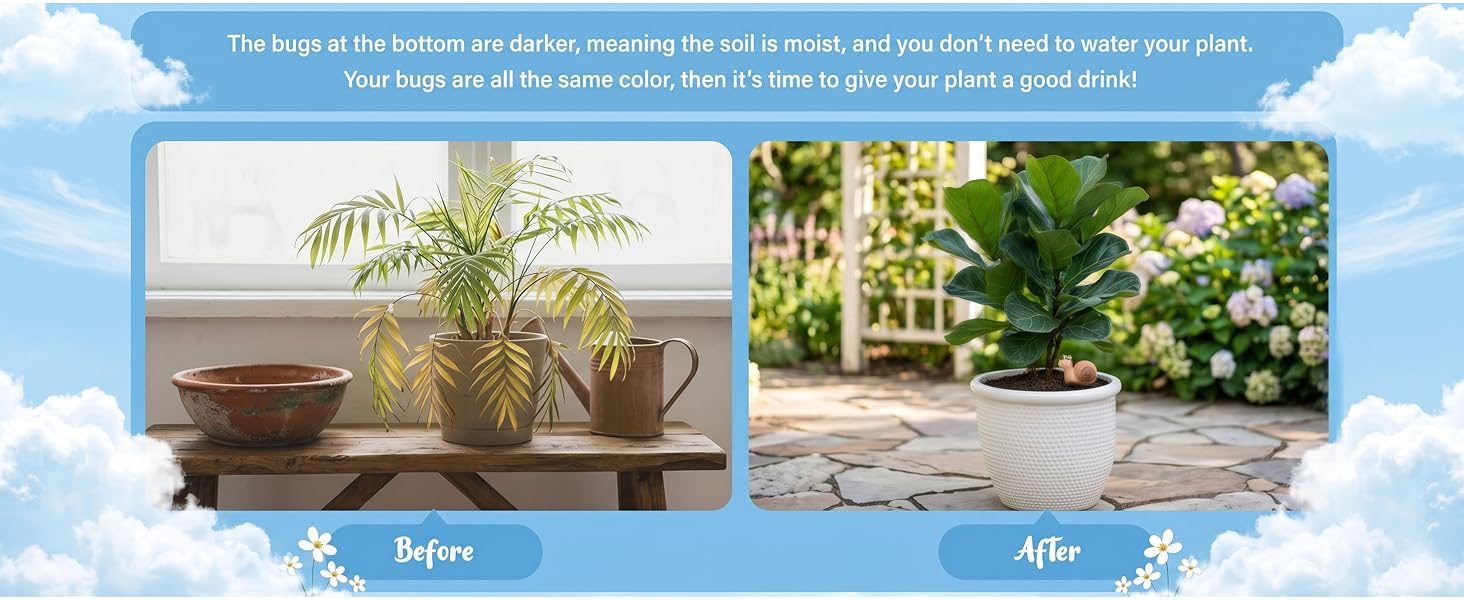 Soil Moisture Indicator Sticks for Indoor Outdoor Potted Plants, Fun Water Gauge