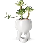 JOHOUSE Funny Planter – Fake Succulent in White Novelty Planter, Gag Gift Funny Desk Decor for Of...