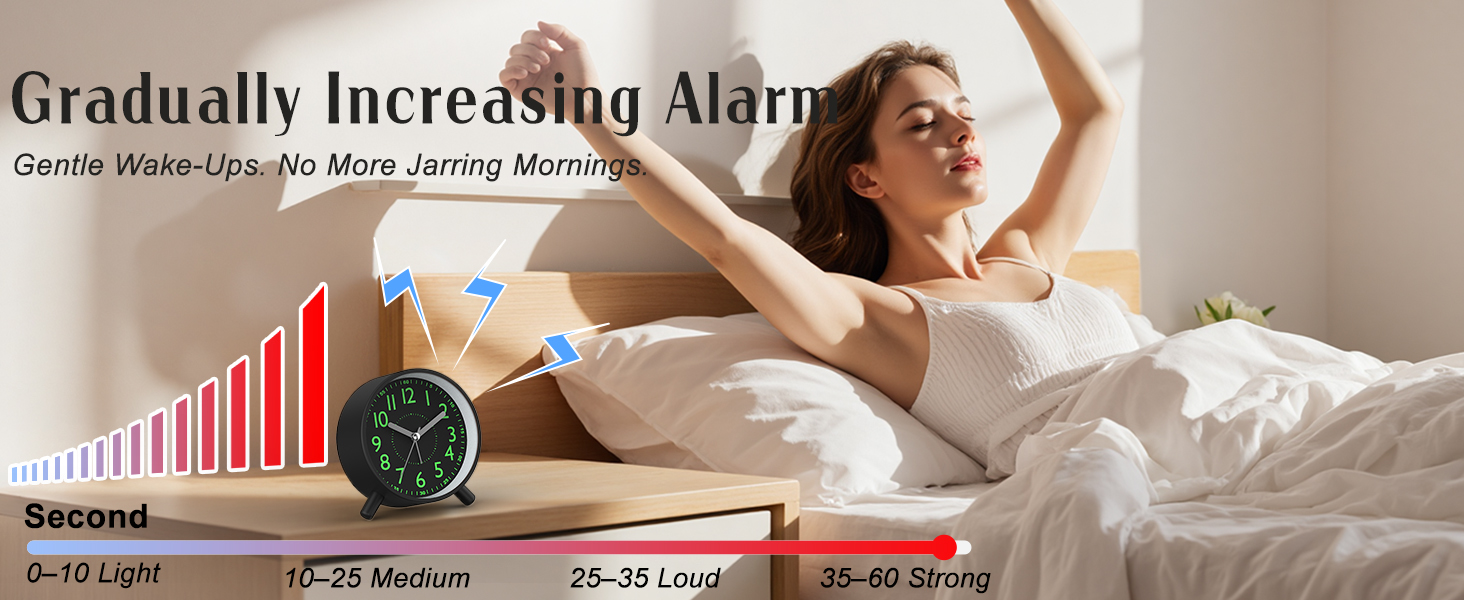 Alarm Function