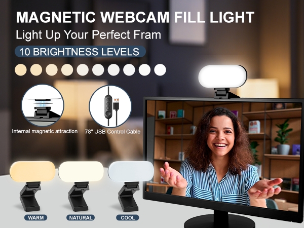 video conference light