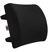 LOVEHOME Lumbar Support Pillow for Chair and Car, Back Support for Office Chair Memory Foam Cushi...